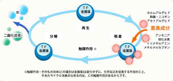 半永久的に持続するサイクル消臭メカニズム